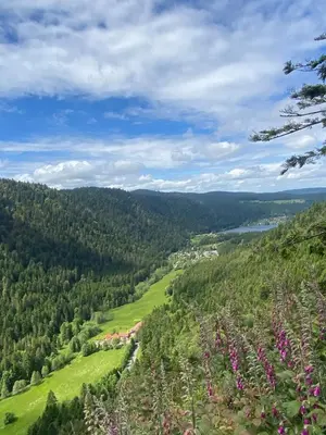 Paysage naturel près de le chalet