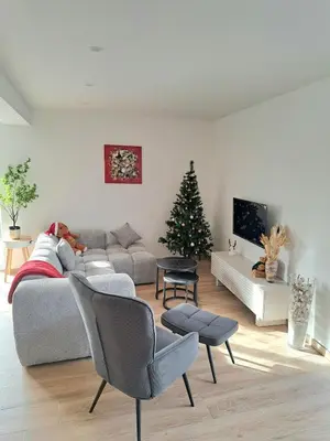 Coin salon dans l'établissement Chez Fernand à Colmar Maison neuve tout confort avec jardin et parking inclus