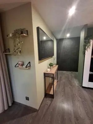 Télévision ou salle de divertissement dans l'établissement Appartement Floriloft