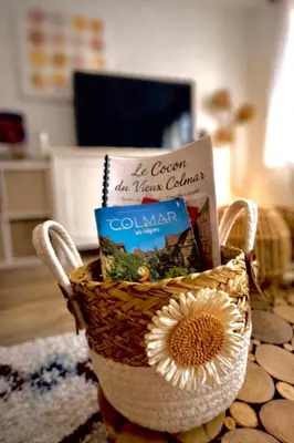 Plan de l'établissement Le cocon du Vieux Colmar - Design et cosy - Hypercentre Colmar