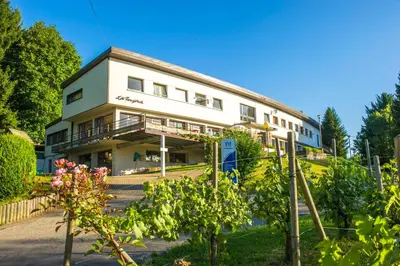 Jardin de l'établissement VTF Les Fougères