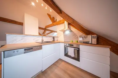 Cuisine ou kitchenette dans l'établissement Frontiere Suites 8 Saint-Louis Proche Bale