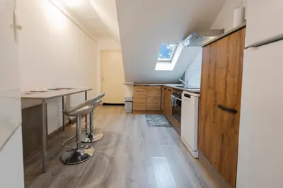 Cuisine ou kitchenette dans l'établissement Appartement cosy au cœur de Colmar