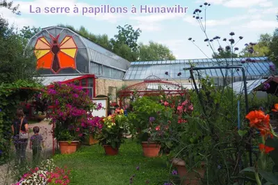 Jardin de l'établissement Gîte des Tourtereaux proche Europapark et Rulantica
