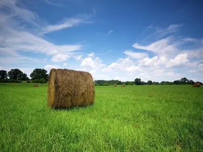 Paysage naturel près de la maison de vacances