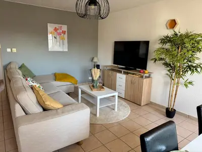 Télévision ou salle de divertissement dans l'établissement Spacieux appartement calme au coeur de Rouffach