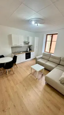 Cuisine ou kitchenette dans l'établissement Cosy 5 - Belfort centre