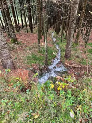 Paysage naturel près de le B&B/chambre d'hôtes