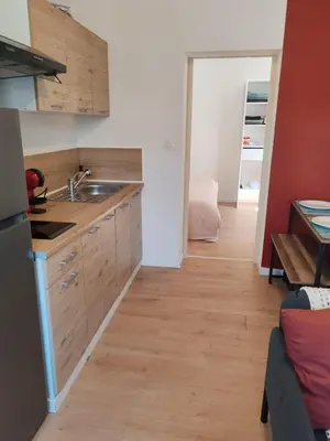 Cuisine ou kitchenette dans l'établissement Cosy appartement calme et tout équipé idéal seul ou en couple