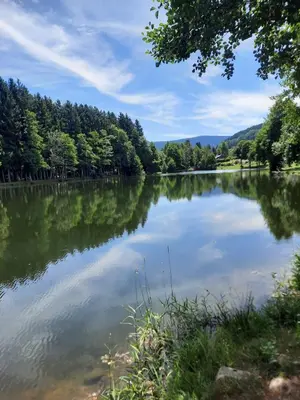 Paysage naturel près de le chalet