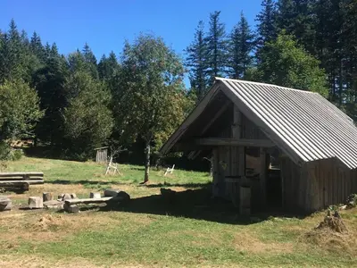 Jardin de l'établissement Holiday home in Alsace with 1 bedroom