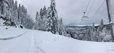 L'établissement Gîte Millésime à Gérardmer Emplacement idéal tout en hiver