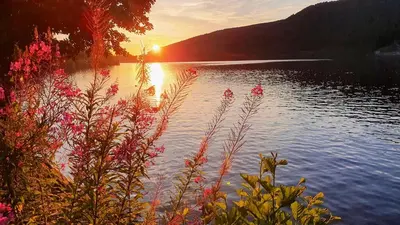 Plan de l'établissement Vue lac, superbe appart chaleureux & reposant