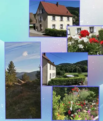 Plan de l'établissement Charmant gîte au pied des Vosges 4pers wifi