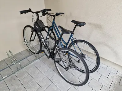 Vélo sur le terrain de l'établissement Le gîte des maraîchers ou dans les environs