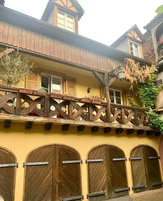 Balcon ou terrasse dans l'établissement Colmar historic center Charming duplex with balcony
