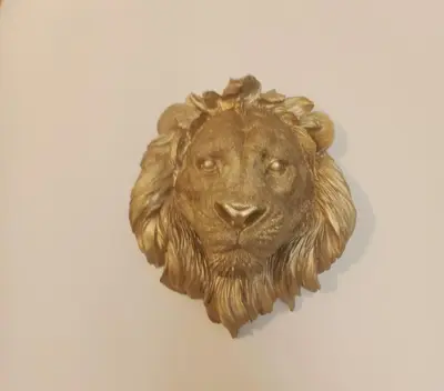 Plan de l'établissement Le Cocon du Lion