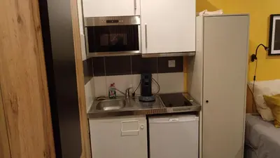 Cuisine ou kitchenette dans l'établissement Mulhouse Gare Studio Wifi