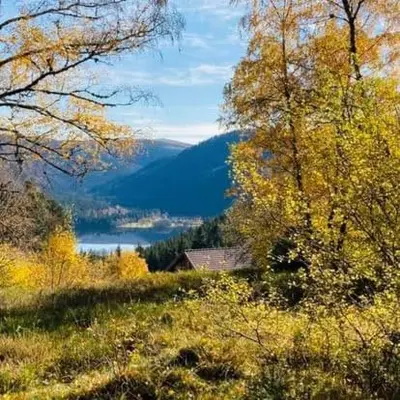 Paysage naturel près de le chalet
