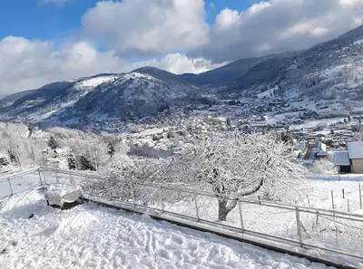 L'établissement Gîte La Louvière La Bresse sauna nature centre à en hiver