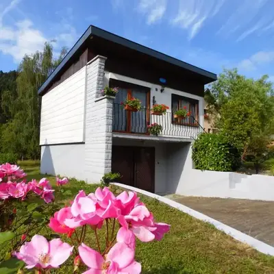Maison avec terrain