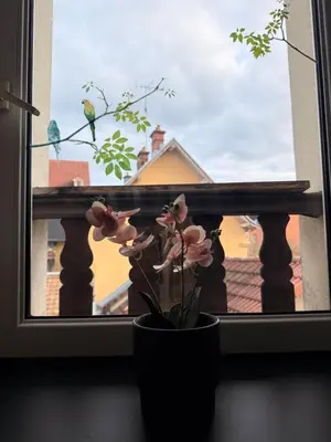 Balcon ou terrasse dans l'établissement Titi90