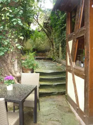Jardin de l'établissement Chez Norbert gîte Le Riesling