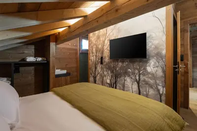 Télévision ou salle de divertissement dans l'établissement Sorelle Chalet, spa, indoor pool, lake view