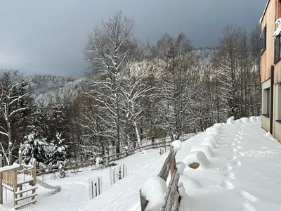 L'établissement Chalet moderne avec spa, idéal pour 12 personnes - FR-1-744-54 en hiver