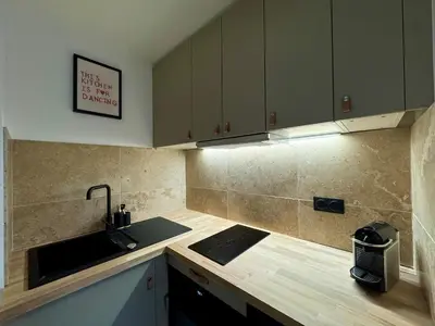 Cuisine ou kitchenette dans l'établissement Le Basilisk - Studio in Huningue