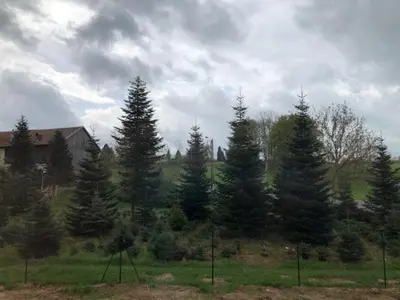Paysage naturel près de la villa