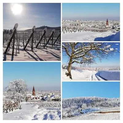 L'établissement Au petit bonheur en hiver