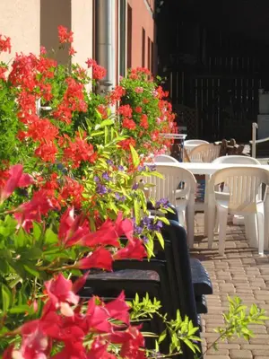 Jardin de l'établissement Au petit bonheur