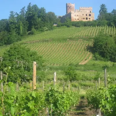 Gite MUSCAT en Alsace sur la route des vins