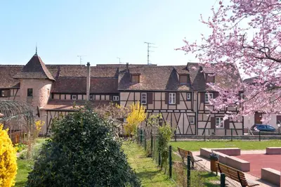 Jardin de l'établissement Le Dolder Gîte de Luxe classé 4 étoiles au coeur des remparts de Riquewihr - Animaux de compagnie acceptés