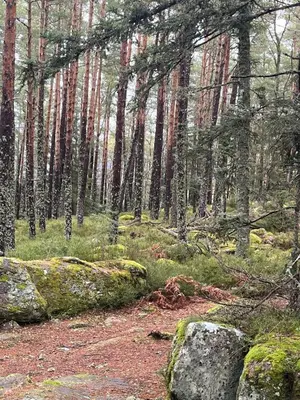 Paysage naturel près de l'appartement