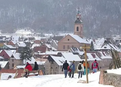 L'établissement Le Millésime Gîte de Charme classé 4 étoiles sur les remparts - Animaux de compagnie acceptés en hiver