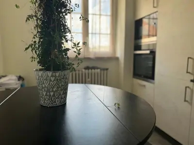 Cuisine ou kitchenette dans l'établissement Appartement proche Mulhouse, free parking
