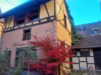 Plan de l'établissement Riquewihr town house