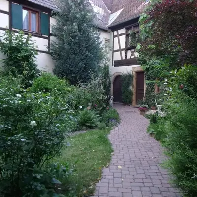 Studio La Grenouillère
