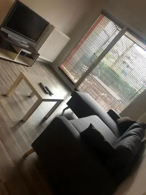 Télévision ou salle de divertissement dans l'établissement Résidence Le Parc 68