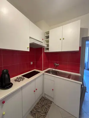 Cuisine ou kitchenette dans l'établissement Riquewihr