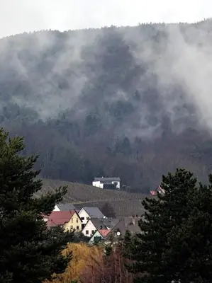 Paysage naturel près de la maison de vacances