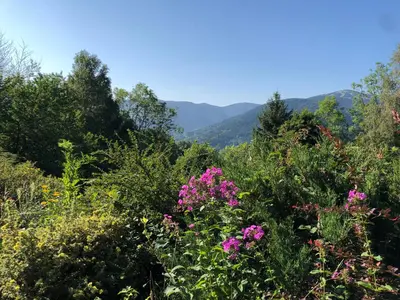 Paysage naturel près de le chalet