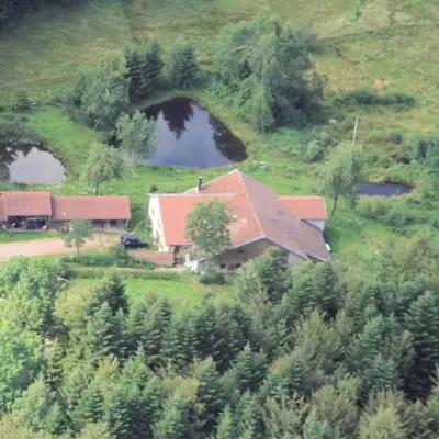 Gites De La Racine