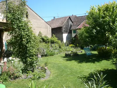 Jardin de l'établissement Gite Jasmin