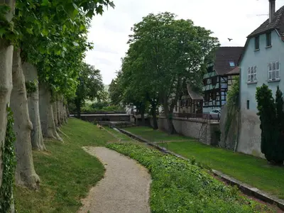 Jardin de l'établissement La Cour St-Fulrad - Les Suites