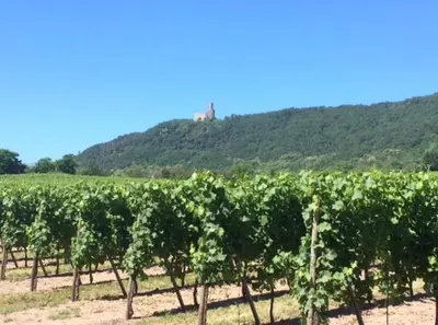 Vue générale sur la montagne ou vue sur la montagne depuis l'appartement