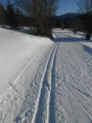L'établissement Chalet Le Vintage en hiver