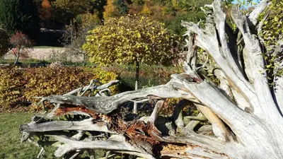 Jardin de l'établissement Gite La Fixoune